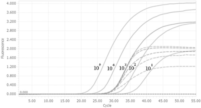 FIG 3