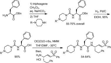 Scheme 1