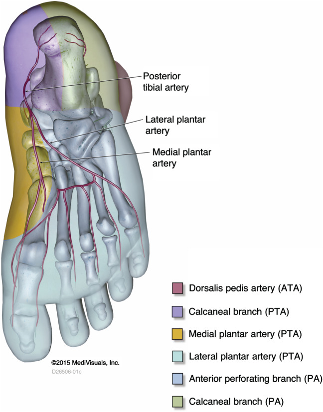 IWJ-12622-FIG-0003-c