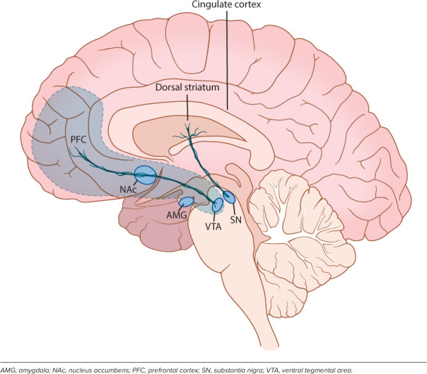 Figure 2.