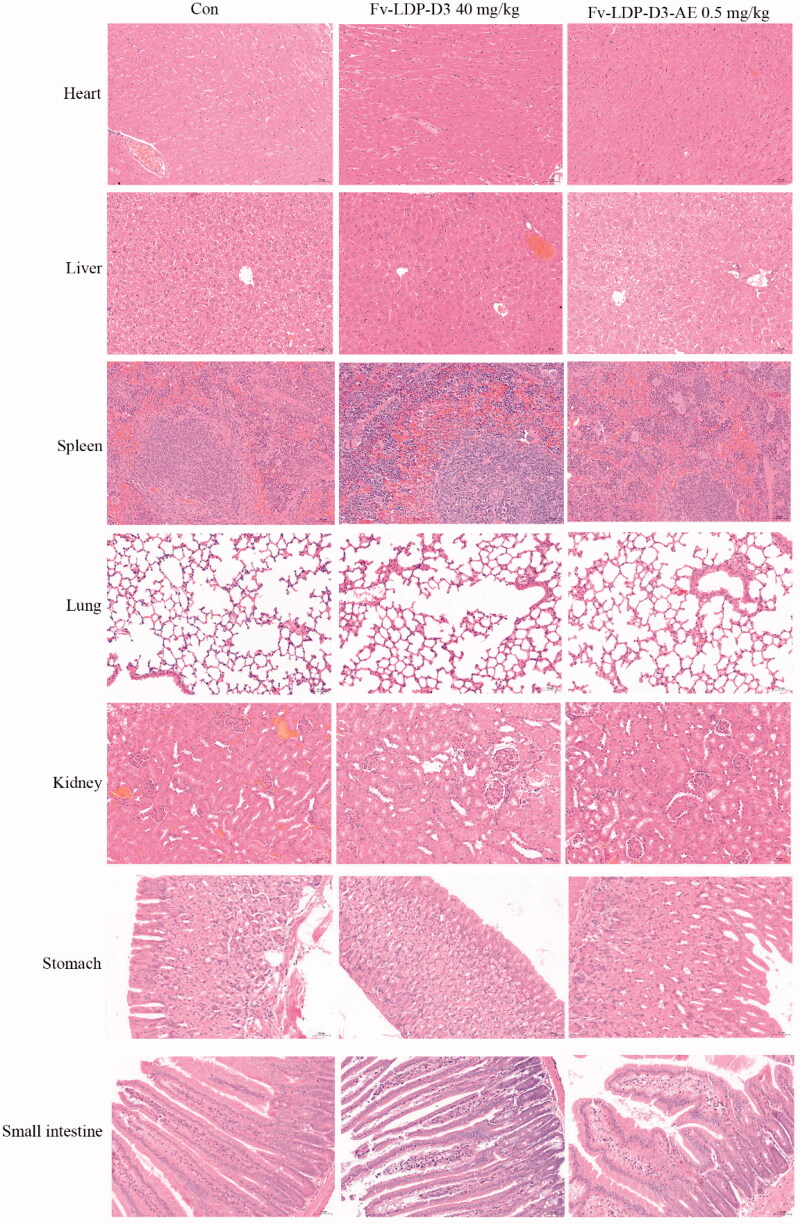 Figure 9.