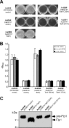 FIG. 7.