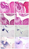Fig. 10.