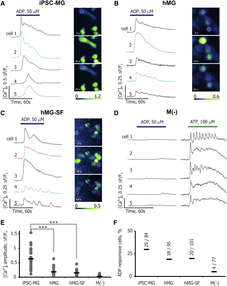 Figure 4