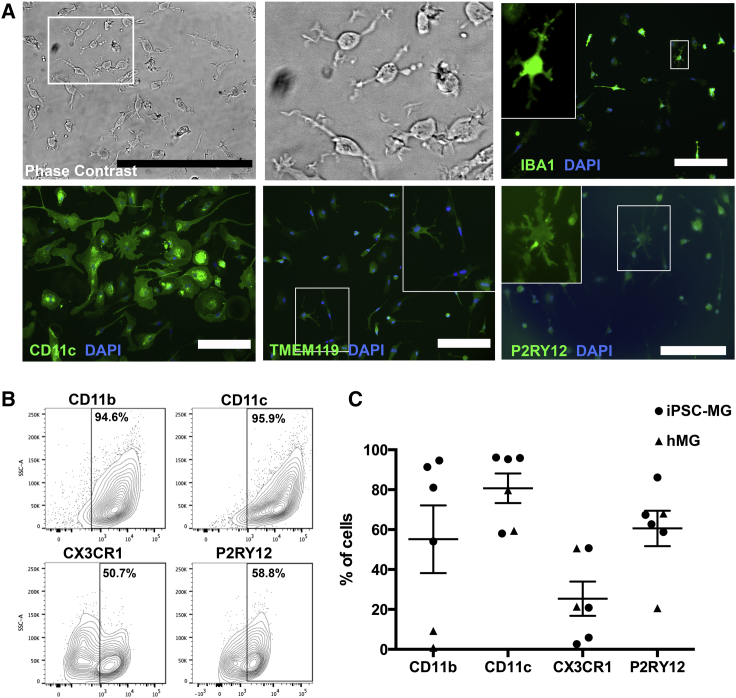 Figure 2