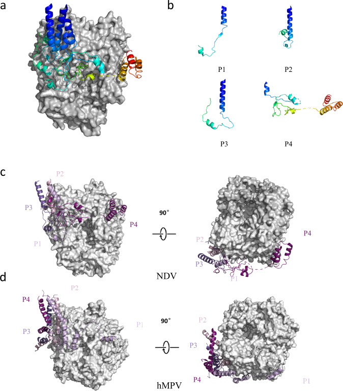 Fig. 4