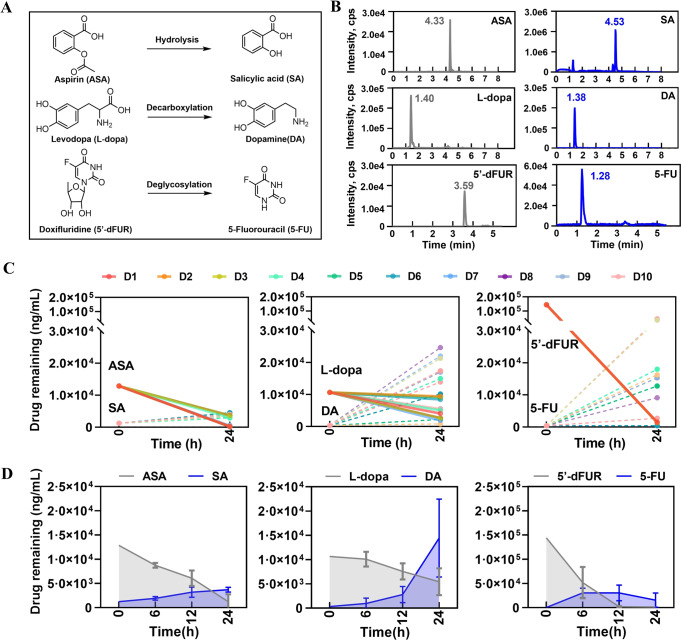 Fig. 6