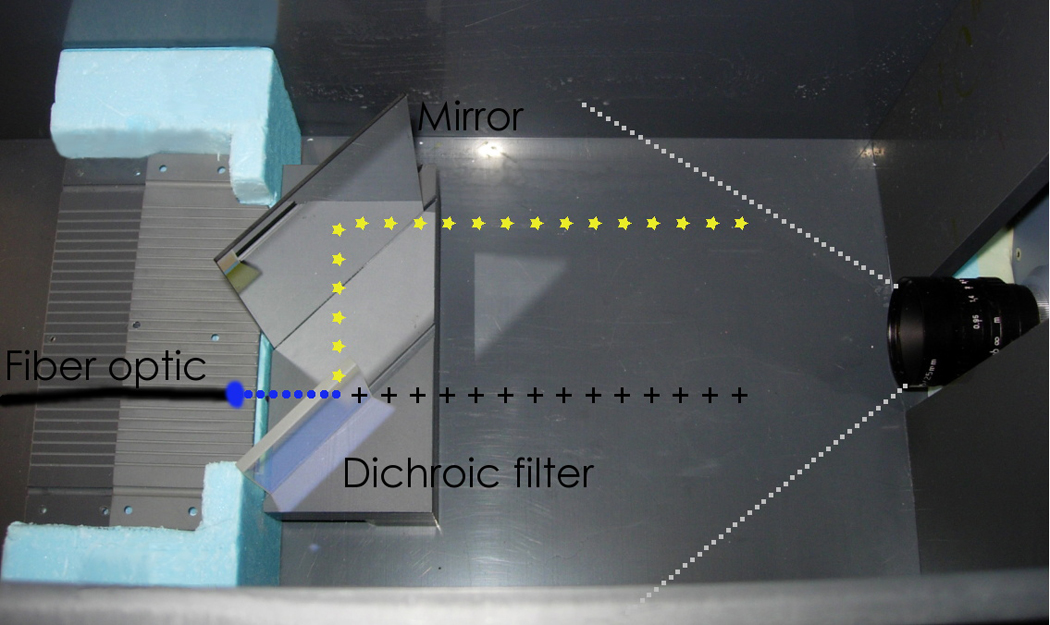 Fig. 2