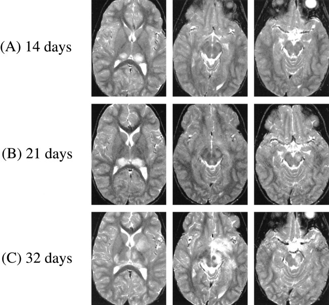 fig 1.