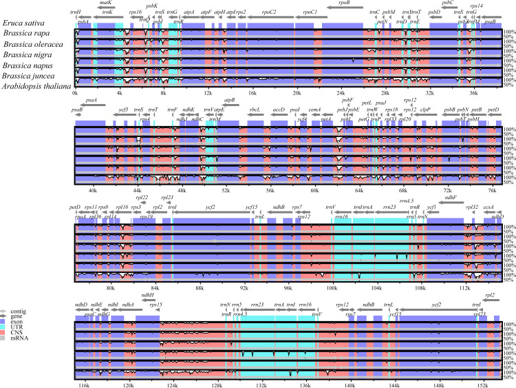 Fig 5