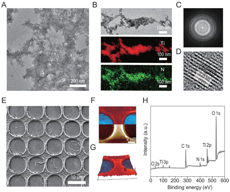 Figure 3.