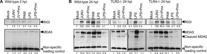 FIG 2