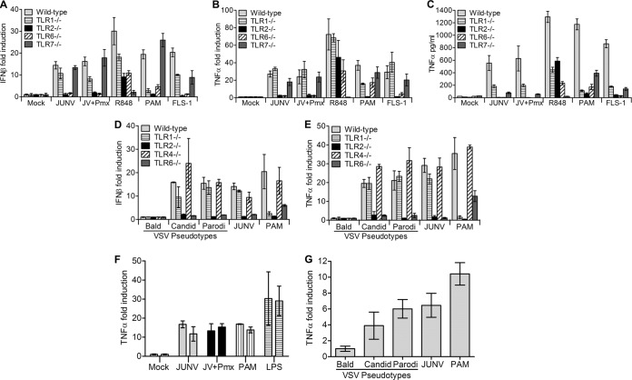 FIG 3