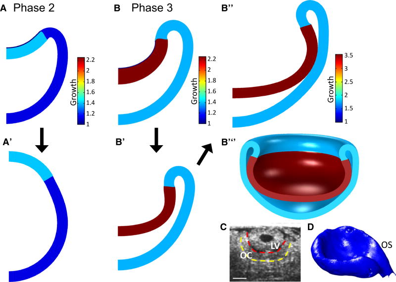 Fig. 10