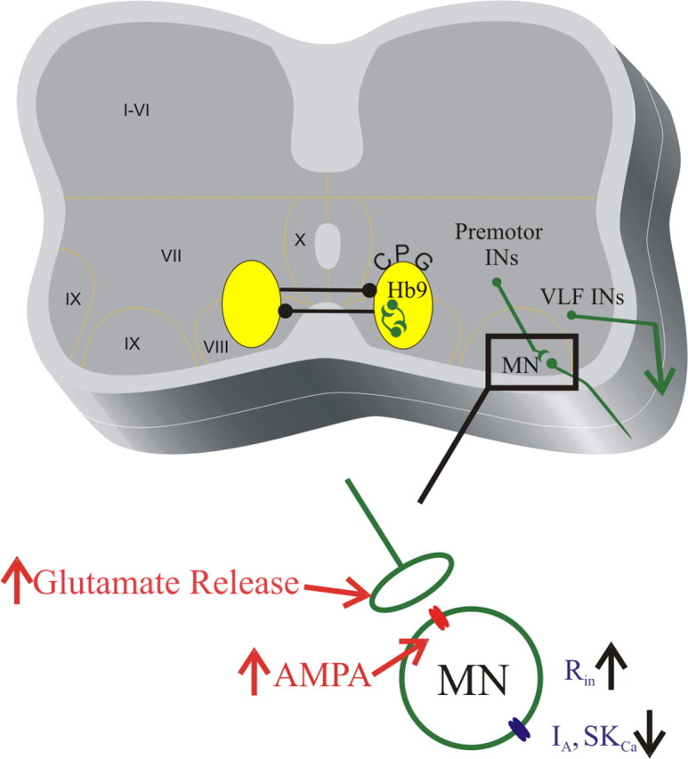 Figure 10.