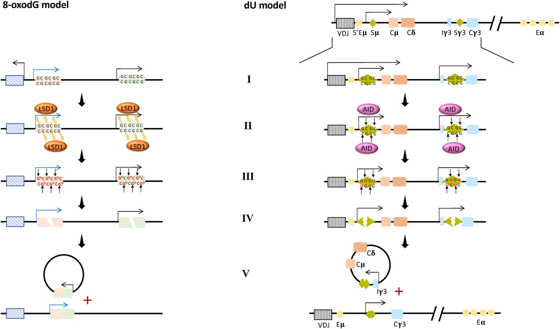 Fig. 9.