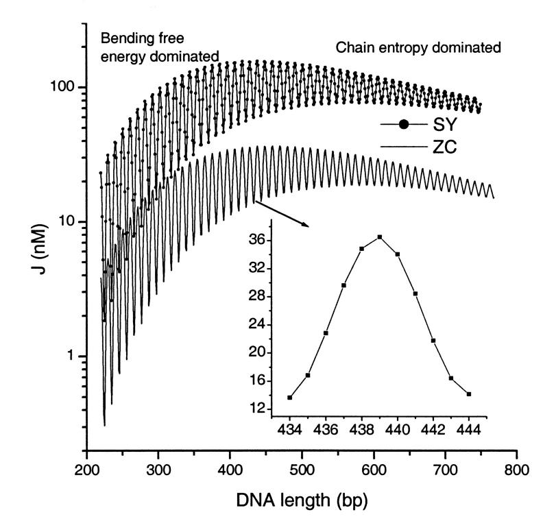 FIGURE 13