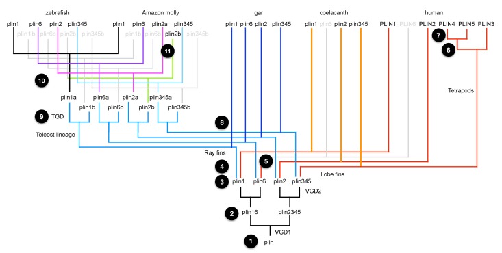 Figure 1—figure supplement 2.