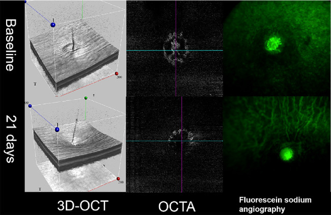 Figure 4.