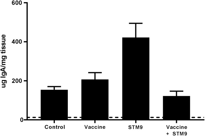 FIGURE 6