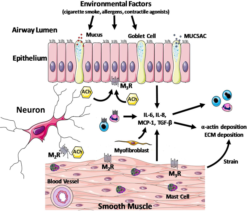 Figure 1: