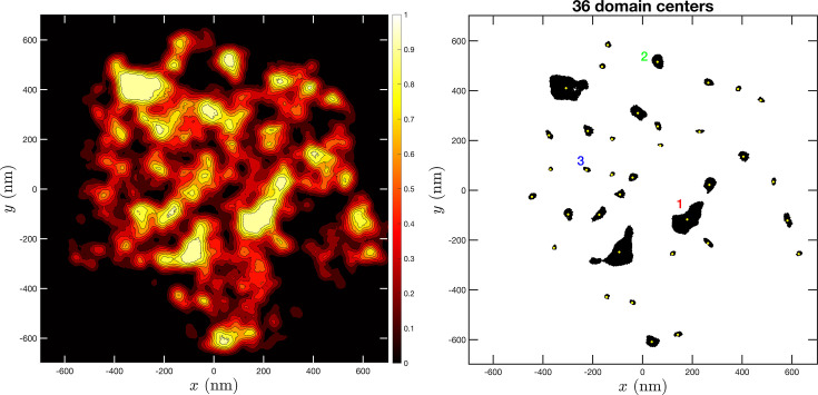 Figure 7—figure supplement 1.