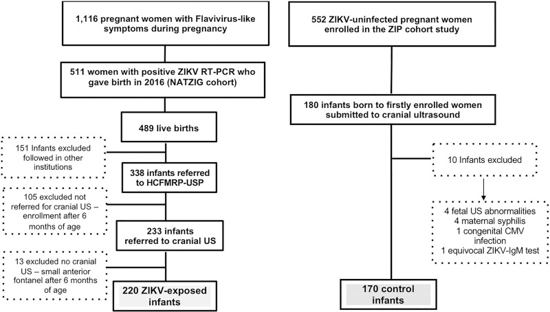 Flowchart of inclusion for 220 infants exposed to Zika virus (ZIKV) and 170 control infants derived from both study cohorts. Among 511 pregnant women notified due to flavivirus-like symptoms during pregnancy with confirmed Zika virus infection, 487 gave birth to 489 live infants in 2016. Among these, 338 neonates and infants were considered eligible for this study. After excluding those without cranial US evaluation, those older than 6 months of age at time of scheduling cranial US, or those with small anterior fontanelle hampering performance of a good-quality examination, 220 infants were included in this study. Control group consisted of consecutive infants undergoing cranial US born to first 180 of 552 enrolled pregnant women not infected with Zika virus who took part in Zika in Infants and Pregnancy (ZIP) cohort in same site as those infected with Zika virus, from September 2016 onward. Eligibility criteria for these infants were absence of maternal exanthema or flavivirus-like signs or symptoms, absence of any positive or equivocal and/or presumptive positive immunoglobulin M (IgM) or real-time polymerase chain reaction (RT-PCR) test results for Zika virus in sequential maternal samples during pregnancy, any central nervous system finding detected with prenatal US or any neonatal neurologic clinical abnormality, and no congenital infections, such as syphilis, cytomegalovirus (CMV), or toxoplasmosis, diagnosed during gestation or at birth. HCFMRP-USP = Hospital das Clínicas da Faculdade de Medicina de Ribeirão Preto da Universidade de São Paulo, NATZIG = Natural History of Zika Virus Infection in Gestation.