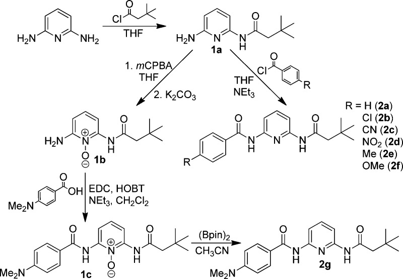 Scheme 1