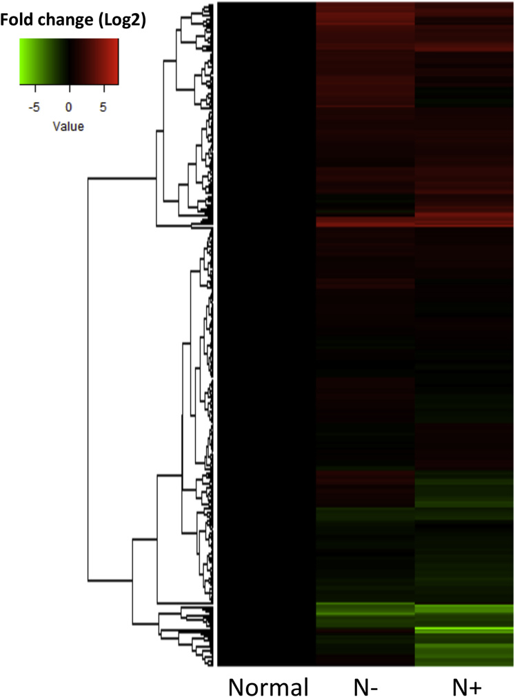 Figure 1