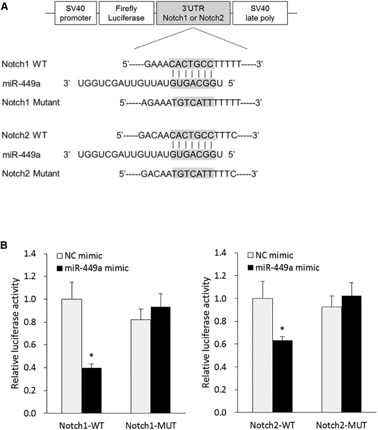 Figure 7