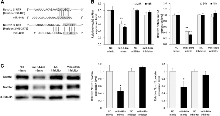 Figure 6