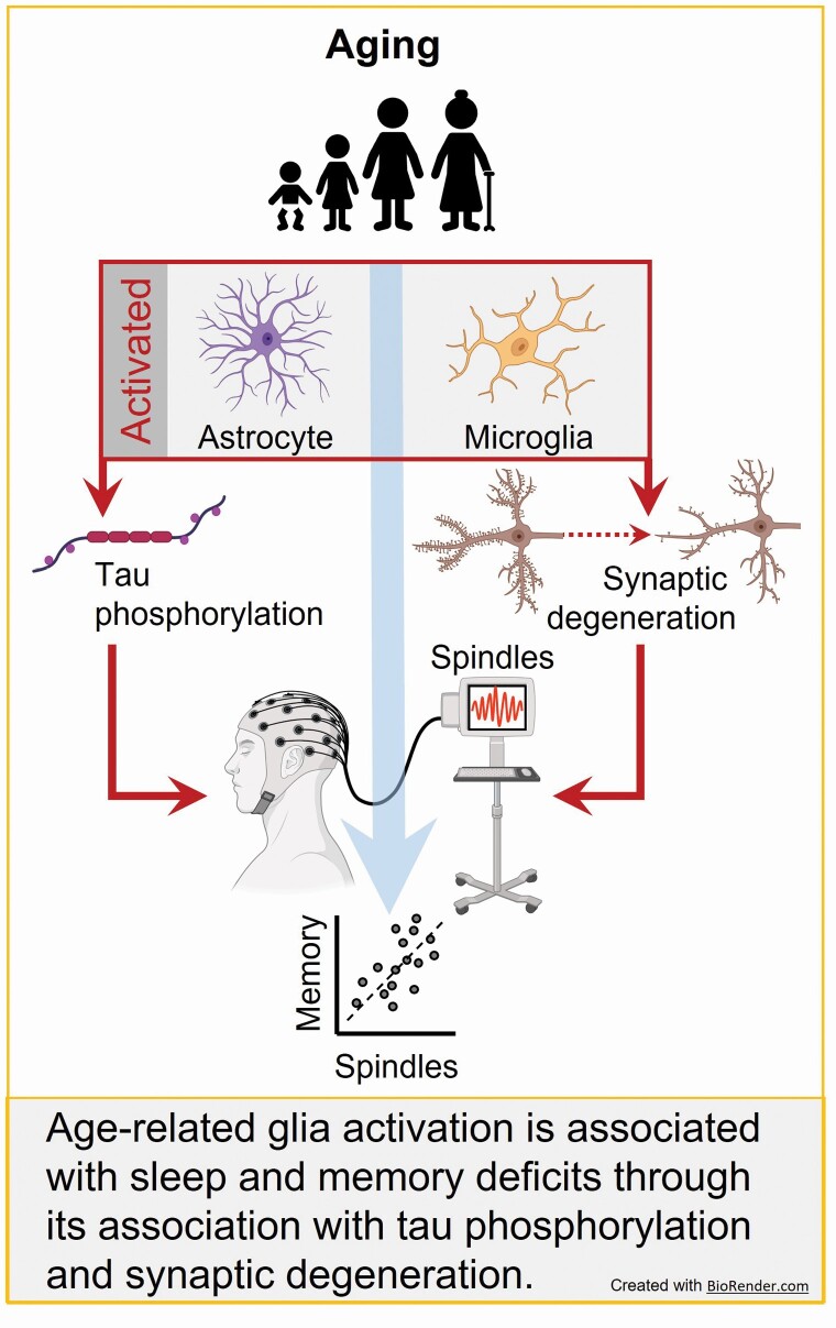 Graphical Abstract