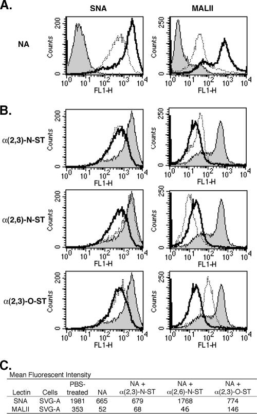 FIG. 1.