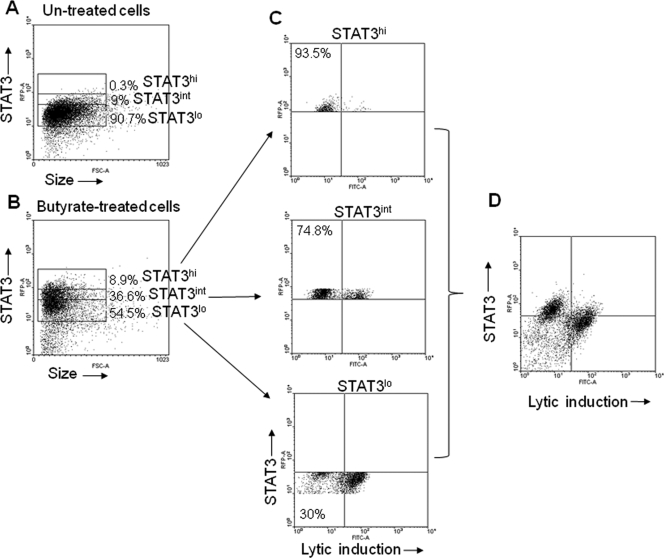 FIG. 7.