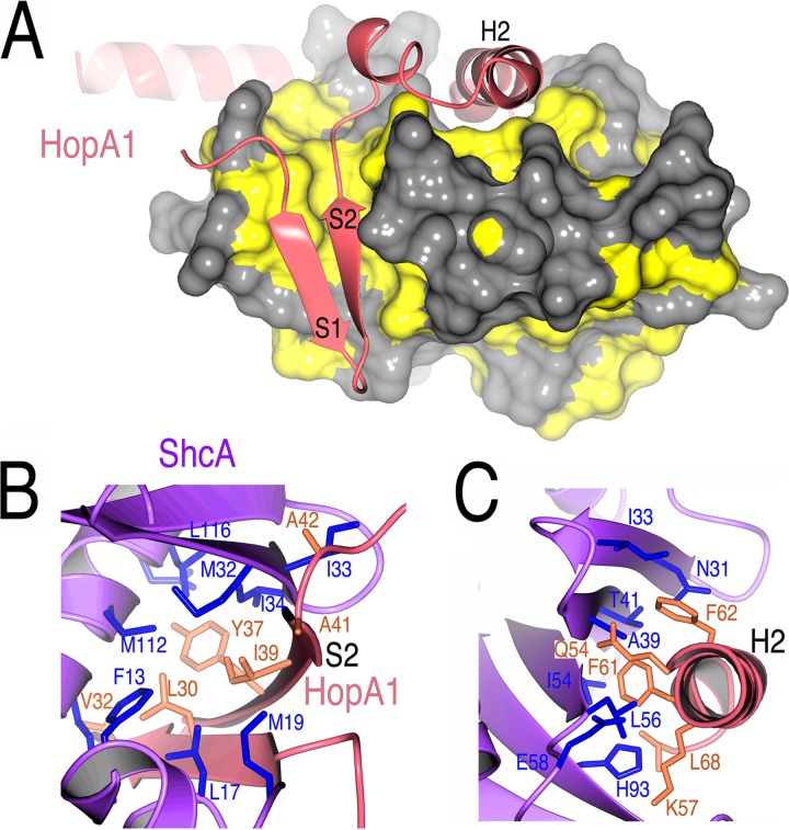 Fig 4