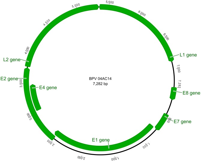 Fig 1