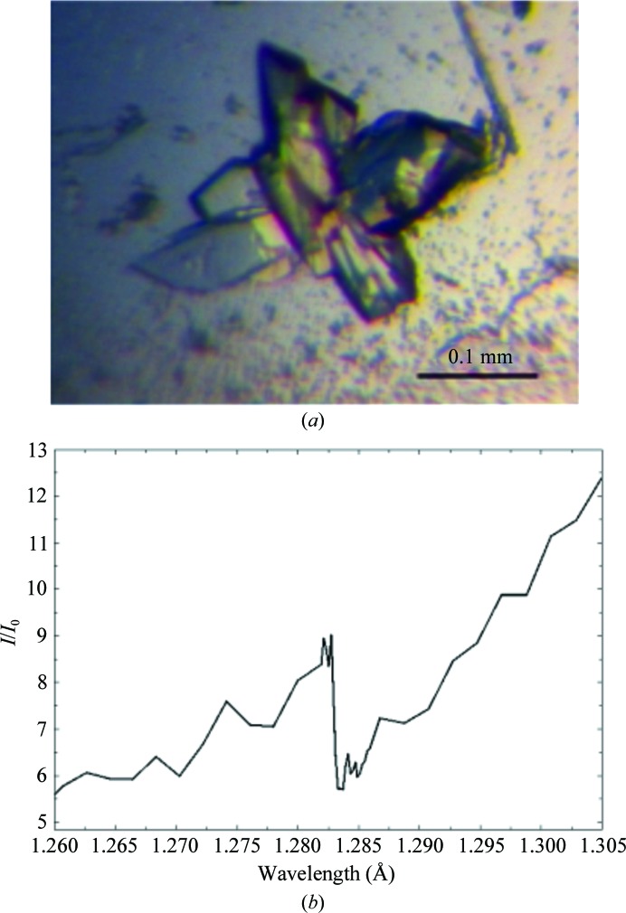 Figure 1