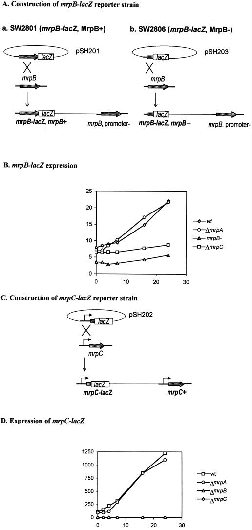 FIG. 4