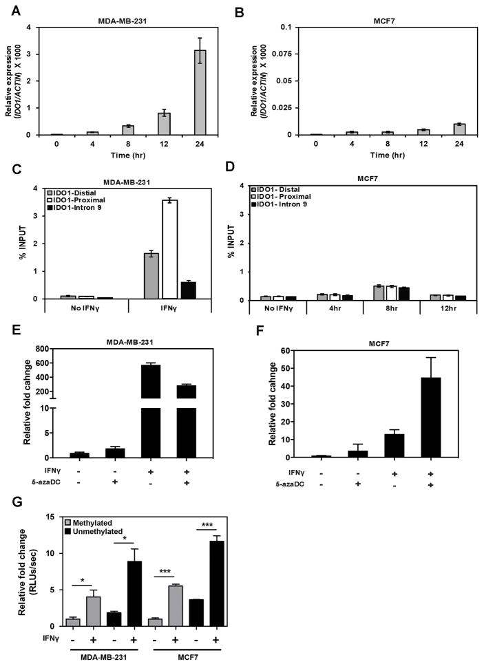 Figure 7