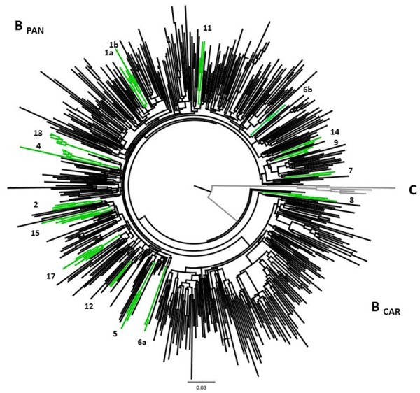 FIGURE 3