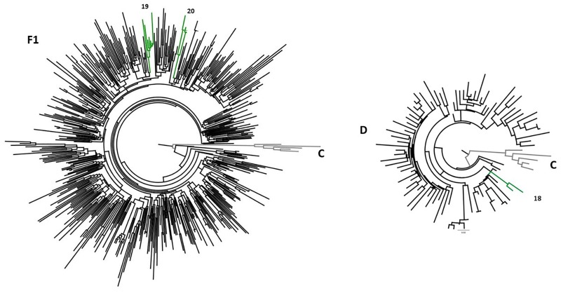 FIGURE 4