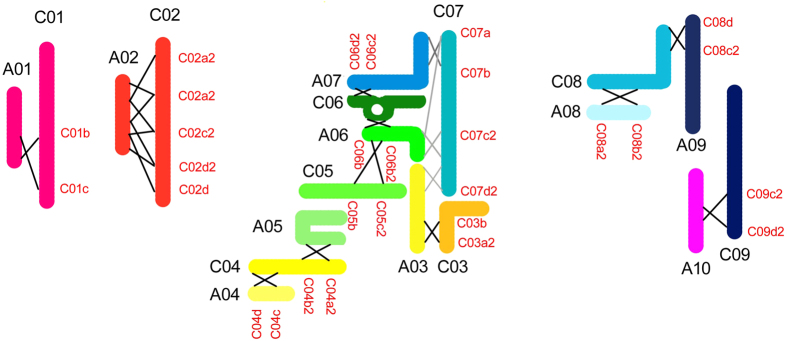 Figure 9