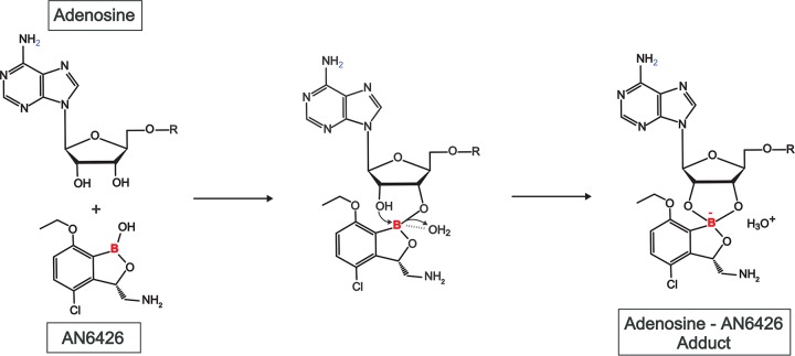 FIG 3