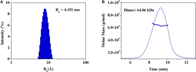 FIGURE 3