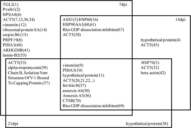 Fig. 3