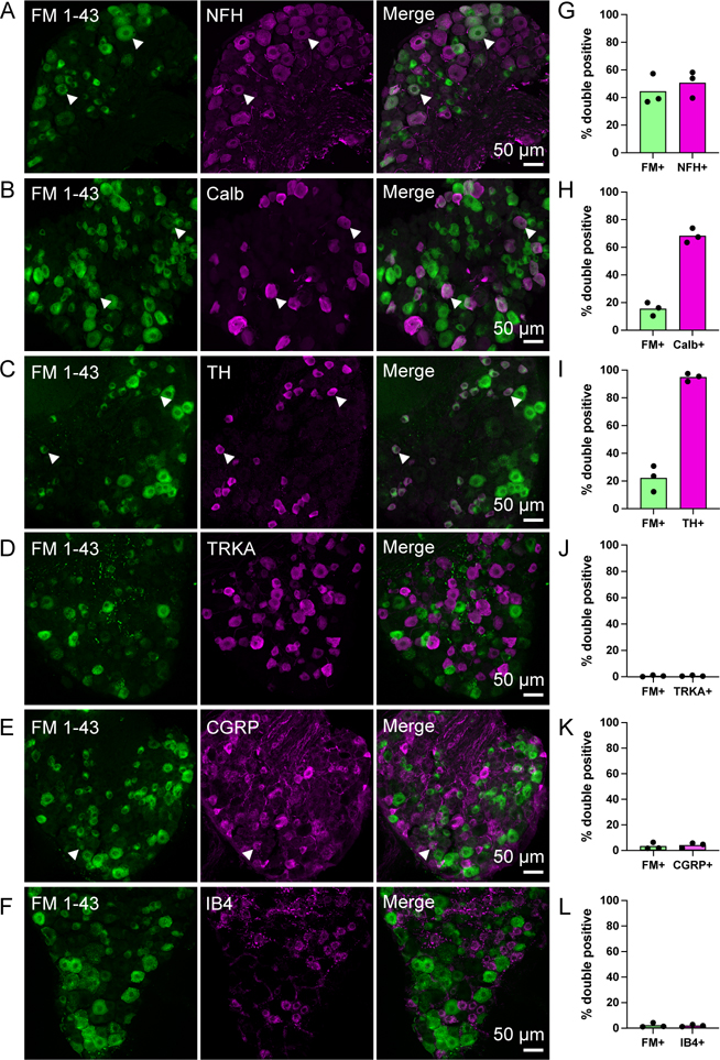 Figure 2: