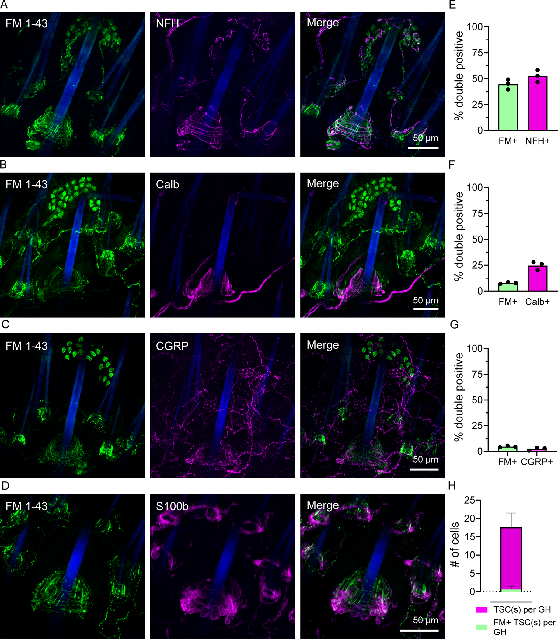 Figure 3: