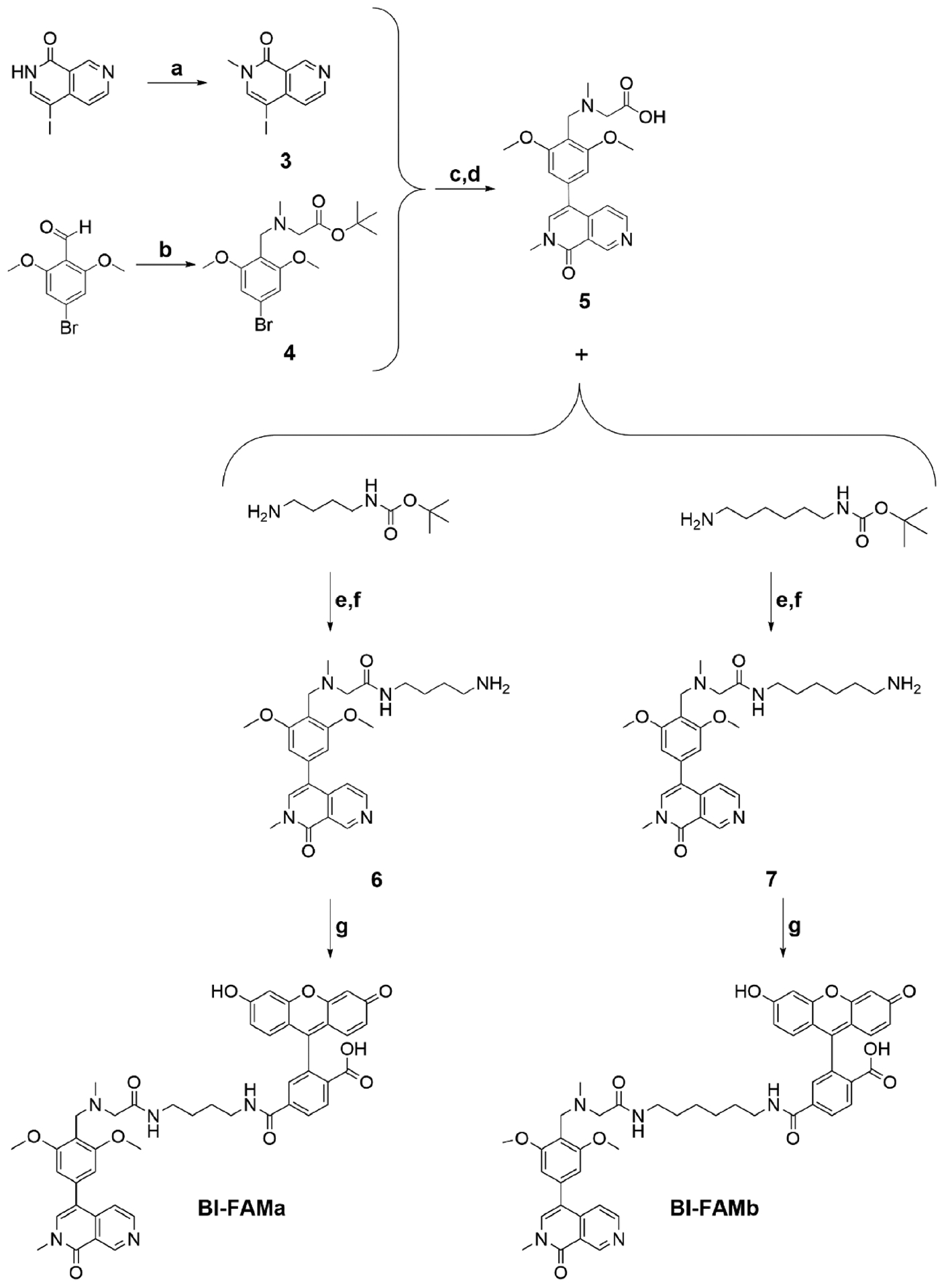 Scheme 2.