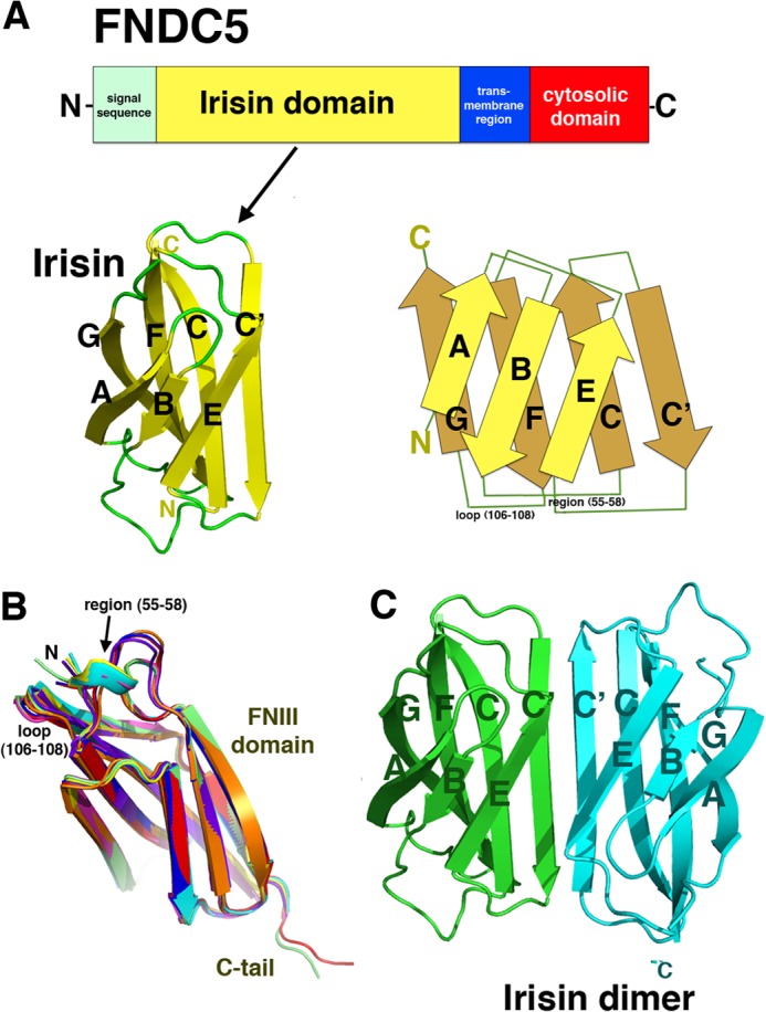 FIGURE 1.