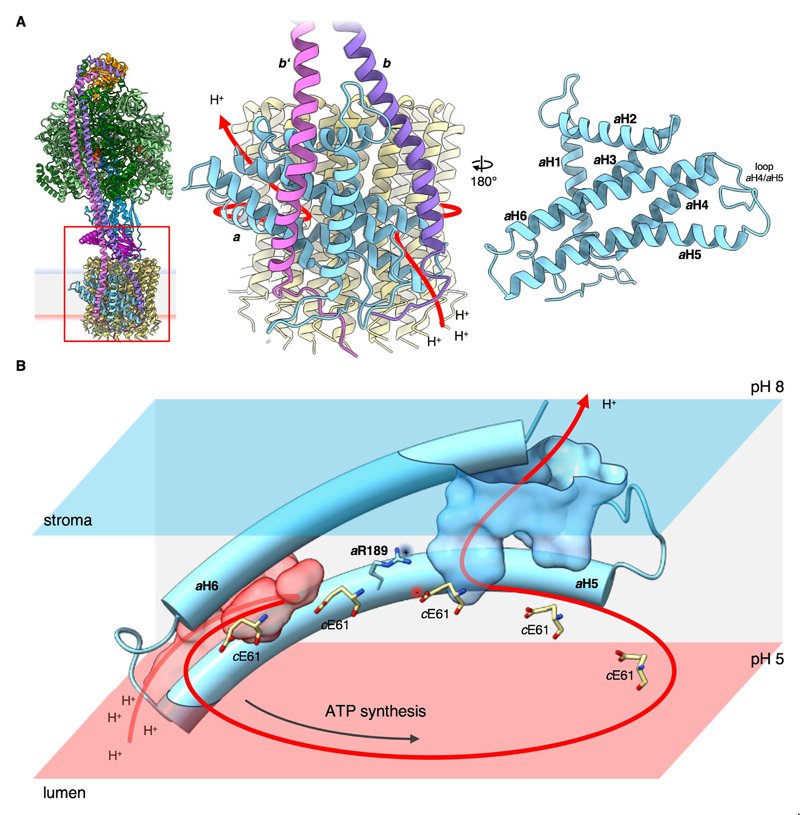 Fig. 4